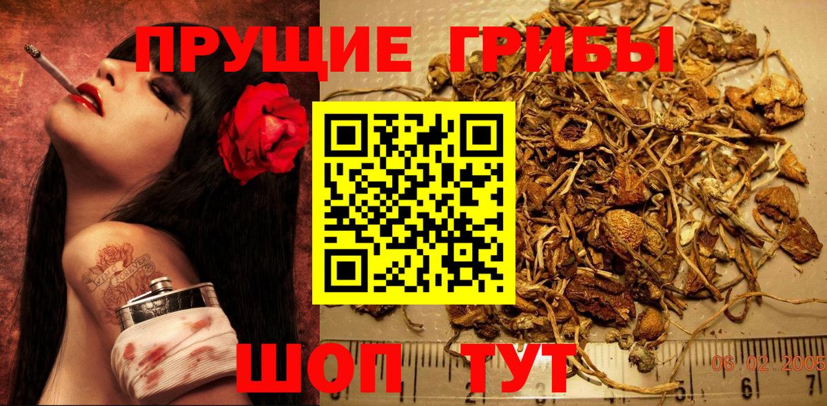 Псилоцибиновые грибы MAGIC MUSHROOMS  магазин продажи   Галлюциногенные грибы ЛСД  Горно-Алтайск  Вход с VPN 